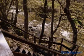Boyana Vacation Houses - Image 5
