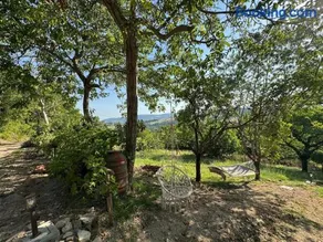 Casa Immersa nel verde - Image 2