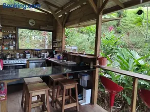 Gayadelphie jungle and sea house - Image 3