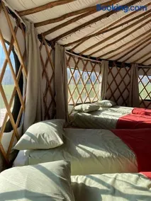 Redwood - the BIG yurt - Image 2
