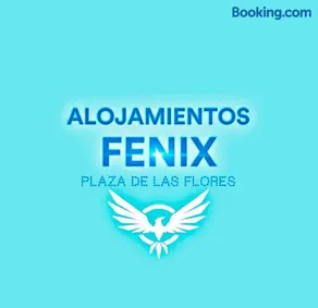 Alojamientos Fenix Murcia - Image 2