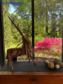 Vakantiehuis Bos en Hei Veluwe - Image 4