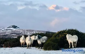 Haytor Court, Haytor, Dartmoor - The Moor on Your Doorstep - Image 5