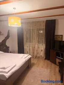 Casa Cosmin - Image 2