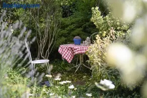 Le Jardin Yuccas - Cosy cottage in the Loir& Loire Valleys - Image 3