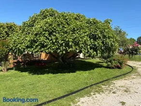 Au Murmure du Bois - maison 6 personnes en Dordogne - Image 2