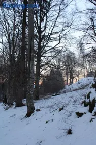 Residenza il bosco - Image 3