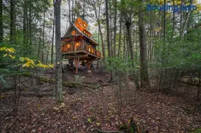 Enchanted Evergreen - Image 1