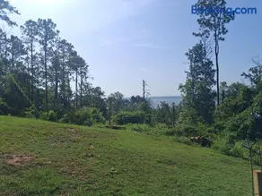 Overlooking Lake Eufaula Alabama PERFECT PRIVATE GETAWAY COTTAGE FOR COUPLES FISHERMAN-FRIENDS located in a private gated community bring the golf cart many paved roads and boat parkingt BOAT DOCK NEAR and community fishing pier and beach - Image 2