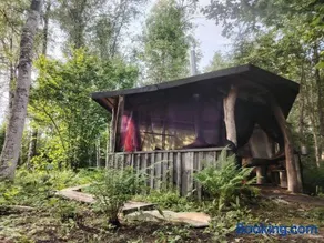 Off-grid forest glamping - Image 2