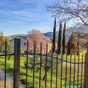 Villa di John - Image 2
