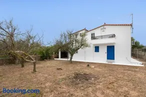 Angelina's Cute House - Image 4