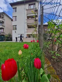 Positive Apartment - Слънчев уют и огромна веранда в сърцето на Петрич - Image 3