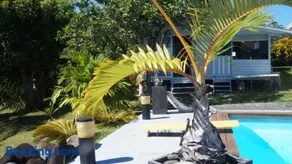 Bungalow Premium Tahiti - Image 3
