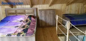 Valdi Guest Shekvetili - Image 2