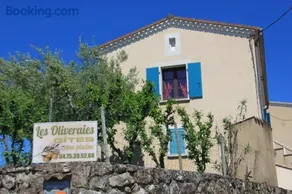 Mûrier - Image 2