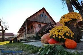 Tourist Farm Pri Martinovih - Image 3