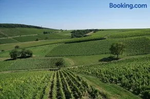 Au pied des Vignes - Image 1