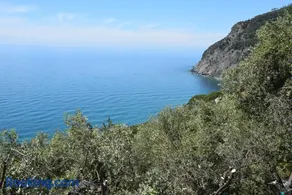 Corner of Paradise near Cinque Terre - Image 2