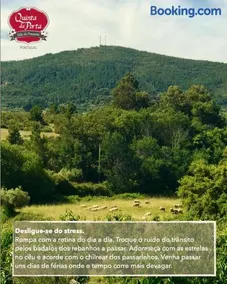 Quinta da Porta - Solar de Vale de Prazeres - Image 3