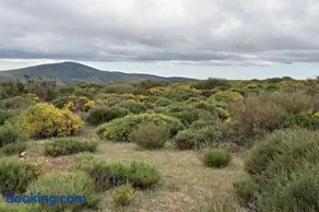 Casa Rural Dunas - Image 4