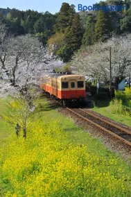 2nd Home Kaminagayoshi - Image 4