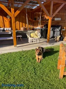 Apartmány Turkovna - Image 3