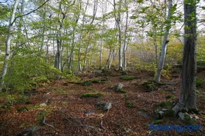 Holiday home Mirador Sierra del Madero - Image 1