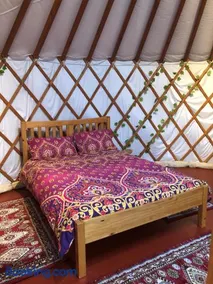 The Yurts at Burnt House Farm - Image 2