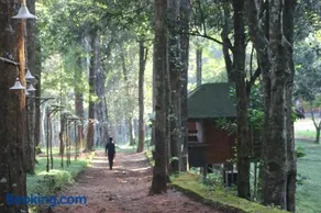 900 Woods Wayanad Eco Resort - A Sprawling Jungle Stay near Glass Bridge - Image 5