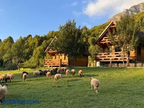 Bujtina Pepushaj Lepushe - Image 1