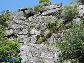 Yourte mongole - Image 2