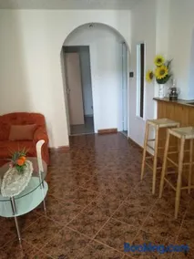 Szemes Apartman Balaton - Image 4