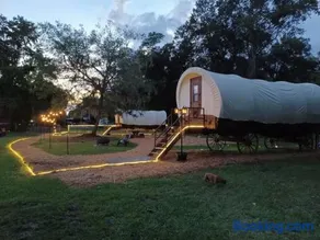 Luxury Covered Wagon, Rooterville Animal Sanctuary - Image 2