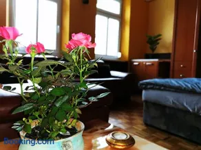 Lehel Apartman - Image 3