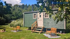 South Downs Eco Lodge & Camping - Image 3