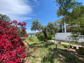 Casa Santa Agua - Image 3
