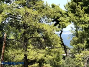 Studio Kalypso - Image 4