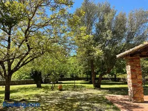 Casabei - Image 4