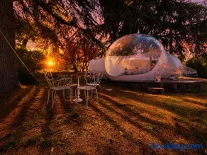 FUGA ROMANTICA - Panoramica - Image 2