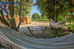 cabane des vignes - Image 4