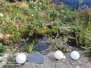 Ferienwohnung Gartenblick - Image 3