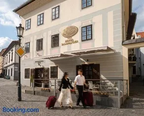 Hotel Salamander - Garni - Image 1