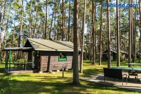 Urlaub im Bungalow - mitten im Wald - Image 2