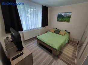 Zoldrebi - Image 4