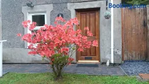 Llugwy Cottage - Image 2