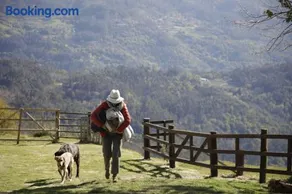 Leiras do Tempo - Adults Nature Retreat - Cottages - Gerês National Park - Image 4