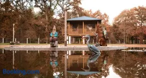 Pensión Cabañas Bosque Máxico de Bonxe - Image 1