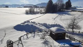 Wiesingbauer - Image 5