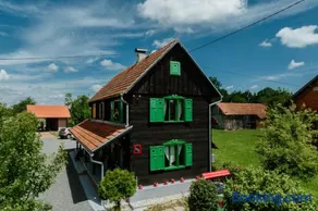 Šušnjari100 - Image 1